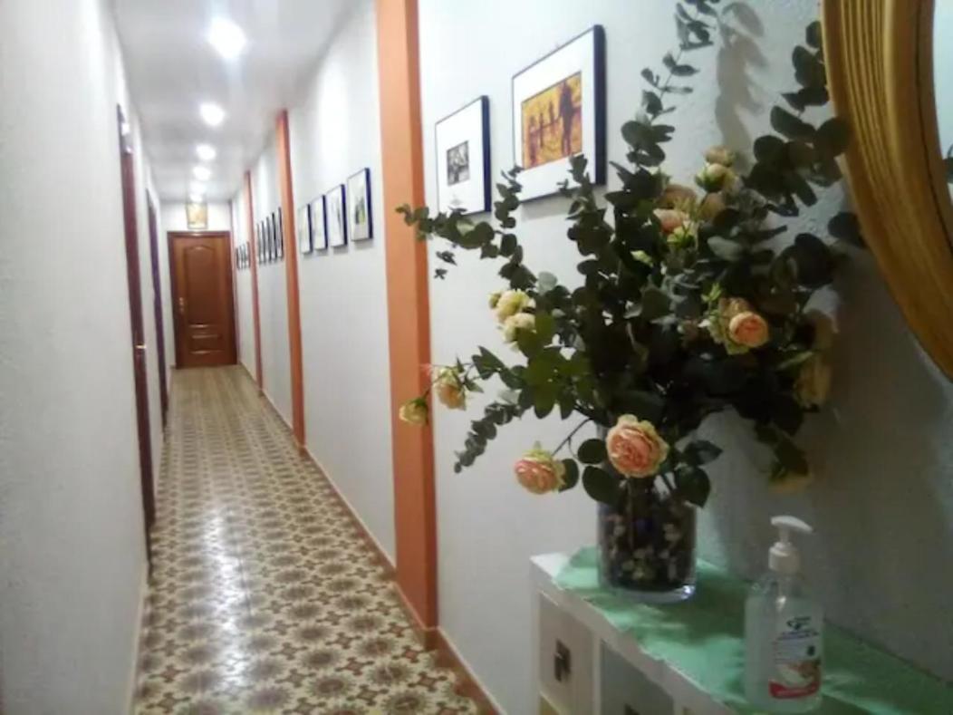 Las Golondrinas Zaragoza Habitacion Individual Exterior foto
